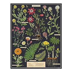 Cavallini Papers & Co. Herbarium 1,000 Piece Puzzle, Multi