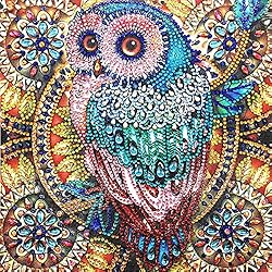 Hibah Diamond Painting DIY 5D Special Shape Rhinestone, Owl, Partial Diamond Crystal Diamond Painting Set (Mandala)